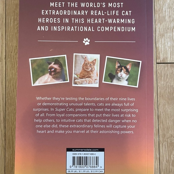 Super Cats by Ashley Morgan - Picture 2 of 2